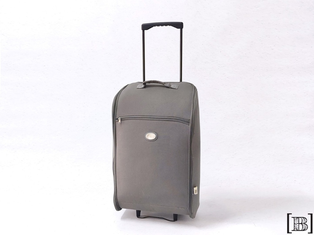 Valija Gris curva