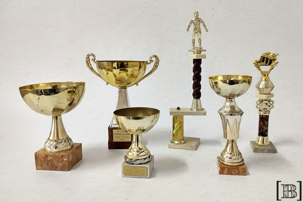 Trofeos y copas varias x 6 unidades