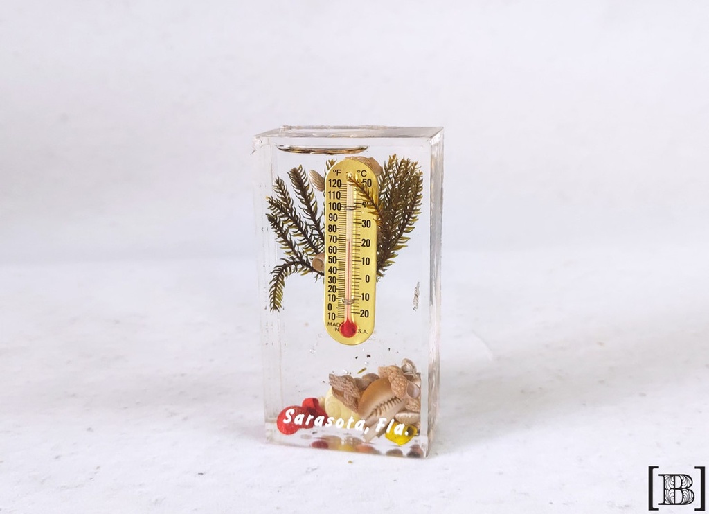 Termómetro Sarasota acrílico