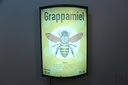 Cartel Backlight
