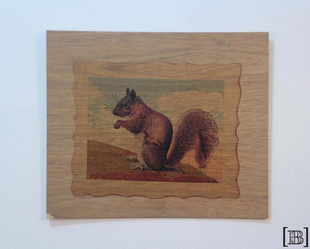 Cuadro de madera ardilla