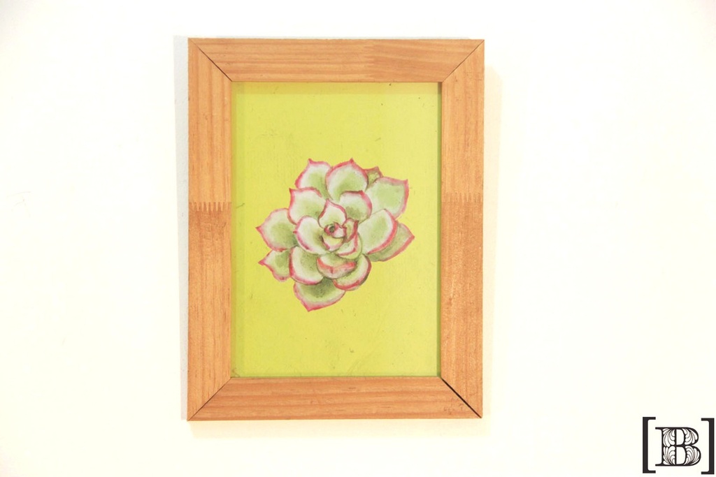 [DP00136] Cuadro suculenta