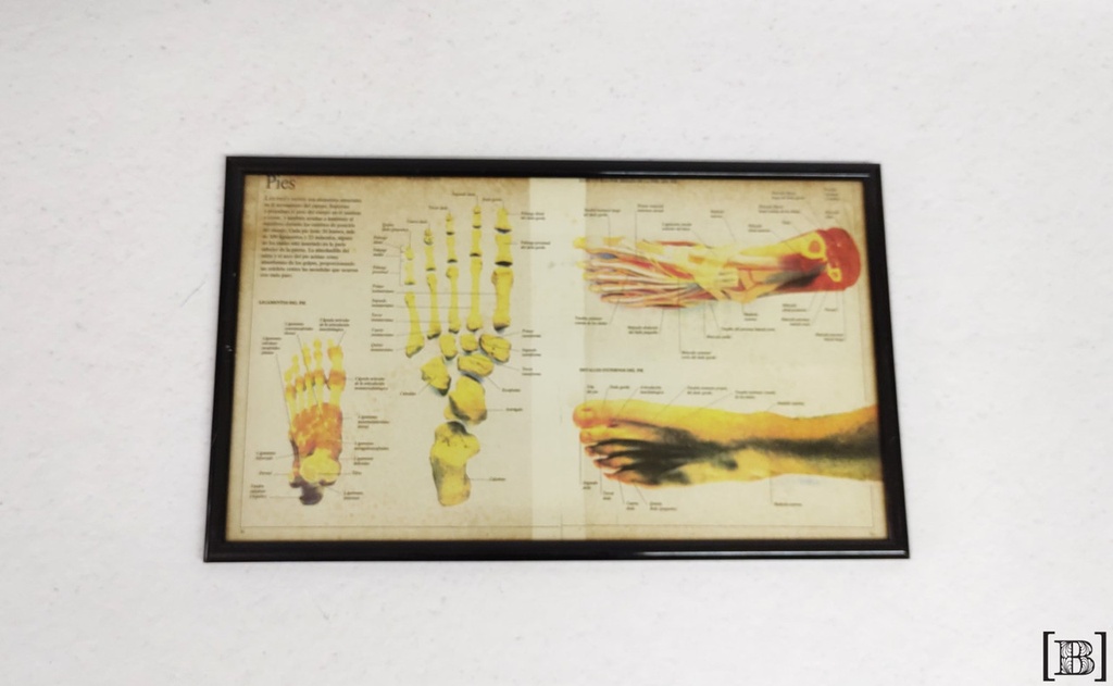 [DP00170] Cuadro lámina pies