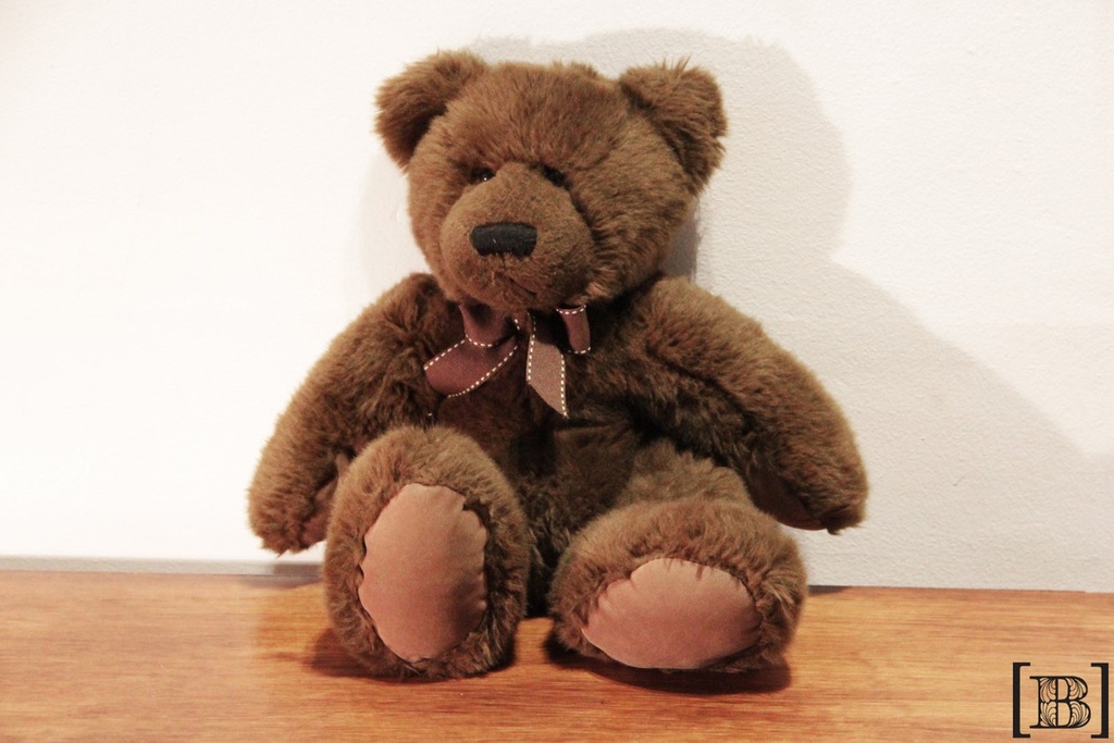 Oso de peluche marrón