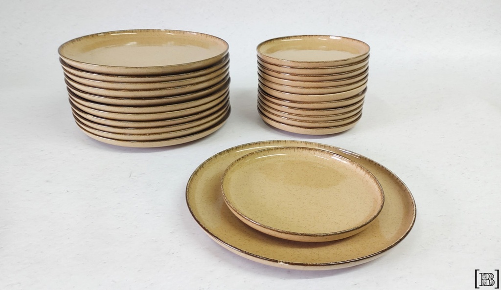 Platos salmón (Hay 20 unidades)