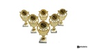 Premio cantante x 6 unidades