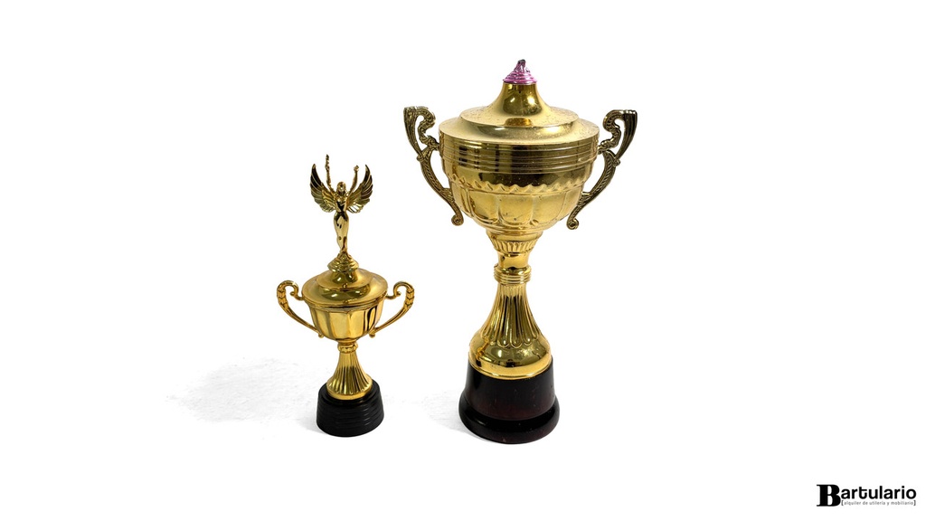 Copas plasticas x 2 unidades