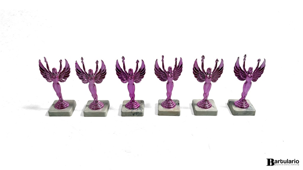 Premios fuccia (hay 6 unidades)